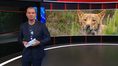 Het NOS Jeugdjournaal | NOS Jeugdjournaal